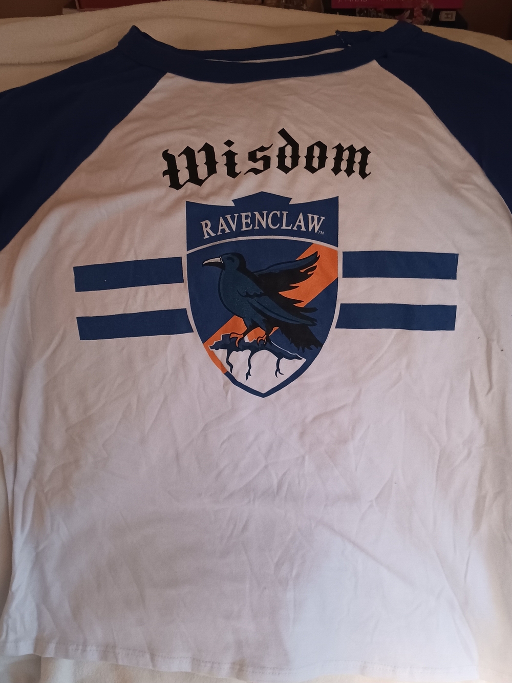 Ravenclaw 'Wisdom' Raglan Tee in White & Blue